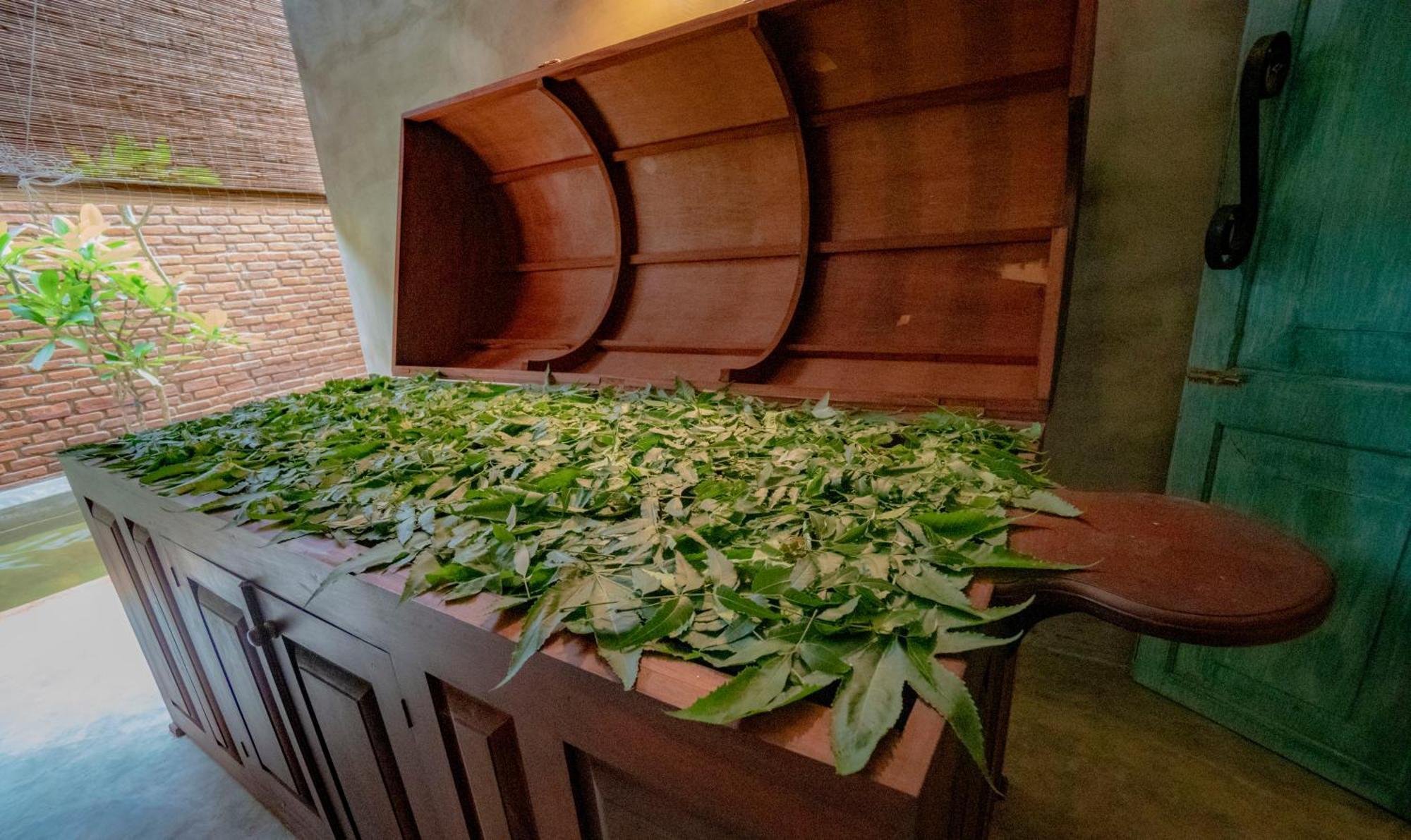 Ayur Ayur Resort & Ayurveda Retreat เนกอมโบ ภายนอก รูปภาพ